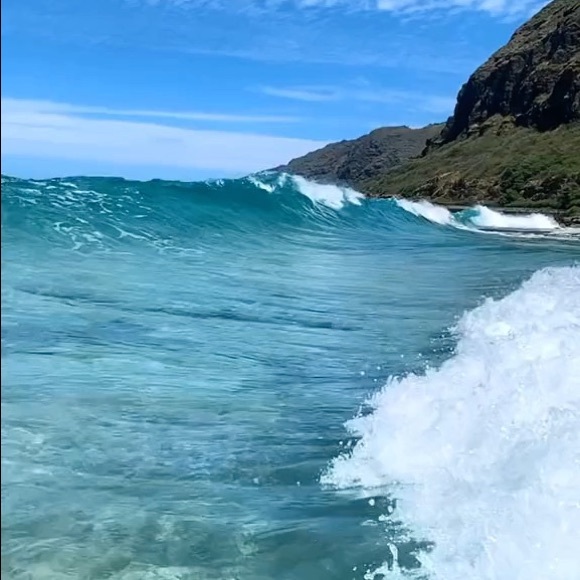 Meet your Posher, Heidi - Picture 1 of 1